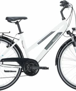 Pegasus Avanti 18 Trapez Weiss . 2023