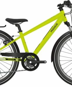 Pegasus Avanti 7 Grün 26 Zoll - 2022