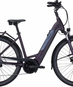 Pegasus Solero EVO 9 Wave Berry Matt - 2022