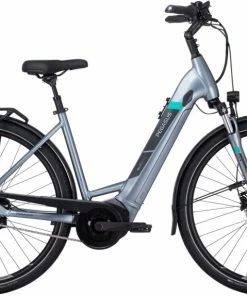 Pegasus Premio EVO 5F Wave Silber - 2022