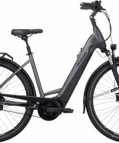 Pegasus Premio EVO 5R Belt Wave Grau - 2022