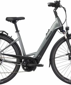 Pegasus Premio EVO 10 Lite 750 Wave Grau - 2022