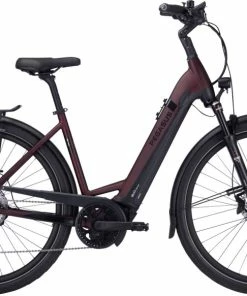 Pegasus Strong EVO 10 Lite Wave Dunkelrot - 2022