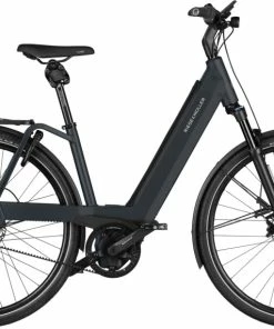 Riese Und Müller Riese & Müller Nevo4 Vario Grau - 2023