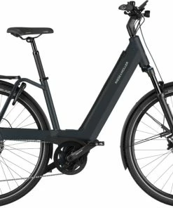 Riese Und Müller Riese & Müller Nevo4 Touring . 2023