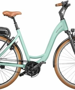 Riese & Müller Swing Rücktritt Salvia Matt - 2022