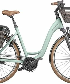 Riese & Müller Swing Vario Salvia Matt - 2022