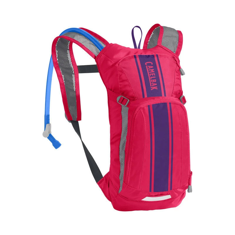 CamelBak Mini M.U.L.E. 3l, Hot Pink-purple Stripe